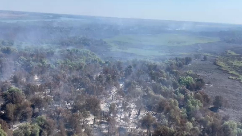 Flăcările din Delta Dunării: Pompierii luptă cu focul din cer și de pe apă 1 video incendii in delta dunarii pompierii incearca stingerea focului din aer si de pe apa 68986e9647dfe