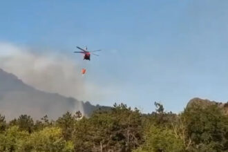 video incendiu de vegetatie in judetul tulcea flacari pe 6 hectare in zona chilia veche elicopter black hawk trimis la interventie 6890ec34c6616