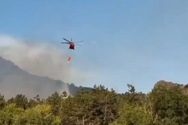 video incendiu de vegetatie in judetul tulcea flacari pe 6 hectare in zona chilia veche elicopter black hawk trimis la interventie 6890ec34c6616