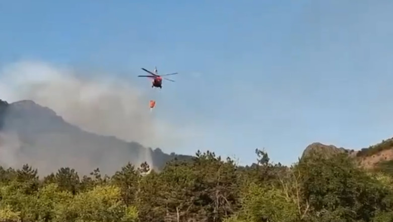 Flăcări devastatoare în județul Tulcea: Incendiu pe 6 hectare în Chilia Veche, intervenție cu elicopterul Black Hawk 1 video incendiu de vegetatie in judetul tulcea flacari pe 6 hectare in zona chilia veche elicopter black hawk trimis la interventie 6890ec34c6616