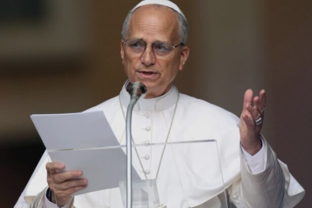 video papa leon apel la incetarea razboiului din ucraina binele comun al popoarelor sa fie intotdeauna pe primul loc in negocieri 68a22586a35f1