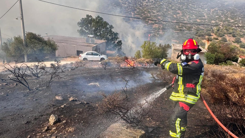 Pompierii români trag un semnal de alarmă: peste 250 de incendii în 24 de ore. Ce suprafețe au fost afectate și ce măsuri trebuie să ia cetățenii? 1 video pompierii romani avertizeaza peste 250 de incendii au izbucnit in doar 24 de ore cate hectare au ars si ce i se recomanda populatiei 689afc221d3f6