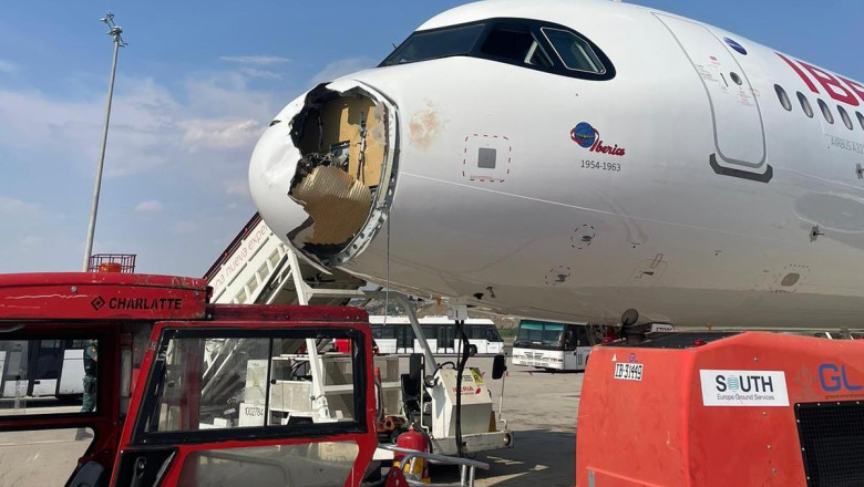 Un zbor Iberia către Paris s-a întors rapid la Madrid după o coliziune cu un vultur în aer 1 video un avion iberia spre paris s a intors de urgenta la madrid dupa ce a lovit un vultur in zbor 6891e5f412a14