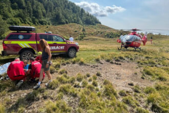 videofoto copil muscat de vipera intr o zona turistica din maramures preluat de un elicopter smurd 6894ff6a90e51