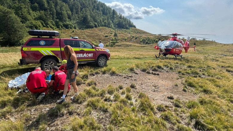 Un copil mușcat de viperă în Maramureș, salvat de un elicopter SMURD 1 videofoto copil muscat de vipera intr o zona turistica din maramures preluat de un elicopter smurd 6894ff6a90e51