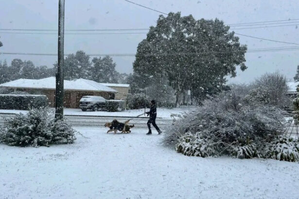 videofoto fenomen rar aparut in conditii meteo extreme cel mai gros strat de zapada din ultimele decenii in australia 688f5ce676598