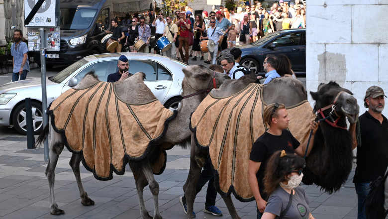 Protest inedit cu cămile în Budapesta: Fermierii atrag atenția asupra amenințării deșertificării în Ungaria 1 videofoto protest cu camile la budapesta fermierii trag un semnal de alarma asupra pericolului desertificarii ungariei 68950193465f2