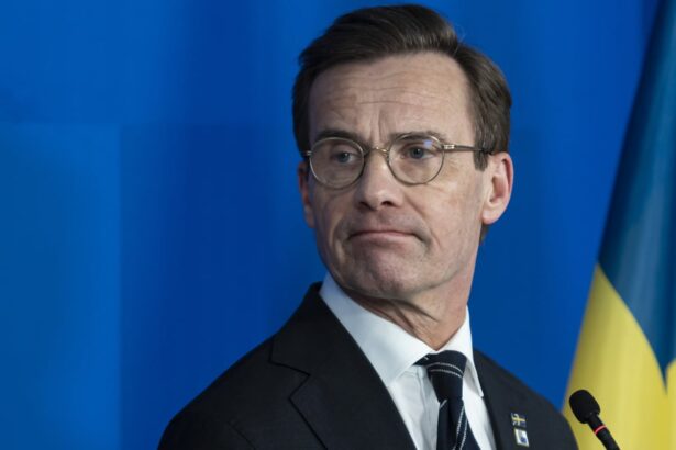 we didnt vote for chatgpt swedish pm under fire for using ai in role 6892574ed6765
