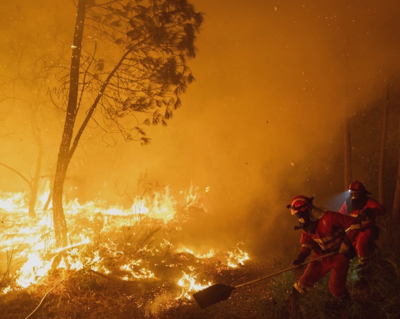 Fumul de la incendiile de vegetație, mult mai periculos pentru sănătate decât se credea, afirmă cercetătorii 1 wildfire smoke far more dangerous to health than thought say scientists 68a47a5299fec