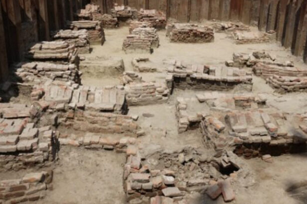 zeci de morminte medievale au fost descoperite in curtea unui liceu lugoj o adevarata fereastra catre trecut 68906640a117d