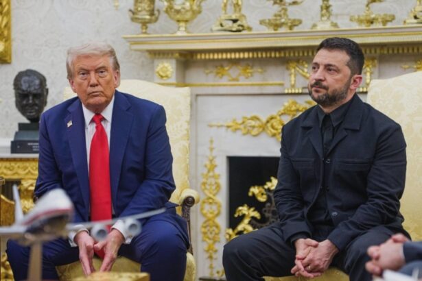 zelenskyys new outfit was not a response to difficult first white house visit says designer 68a423965662b
