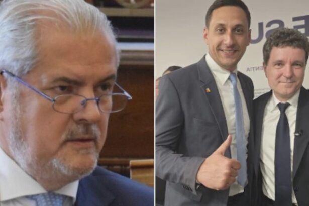 adrian nastase il defiinteaza pe sustinatorul lui nicusor danvlad gheorghe e un pacalici 68bbfec73e1a9