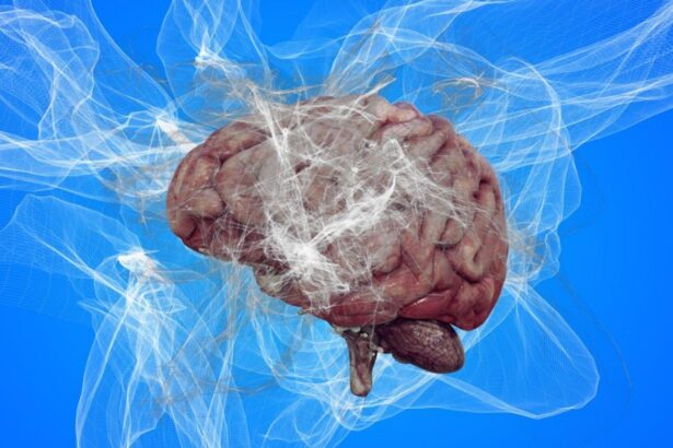 amiba mancatoare de creier a provocat mai multe decese intr o tara din asia cum se manifesta infectia autoritatile au emis o alerta sanitara 68cc277a5af81