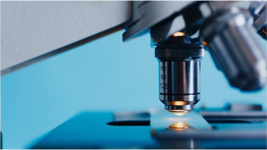 Testează-ți sângele: Descoperă pericolele bolilor de inimă înainte de a simți vreo problemă 1 analizele de sange care iti salveaza viata depisteaza riscul de boli de inima cu mult inainte sa apara primele simptome 68c70cfdd2a49