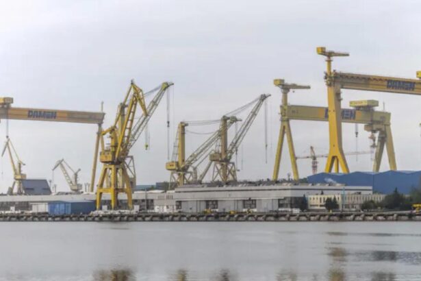 angajatii de la santierul naval damen mangalia protesteaza in fata ministerului economiei 68d38b2266688