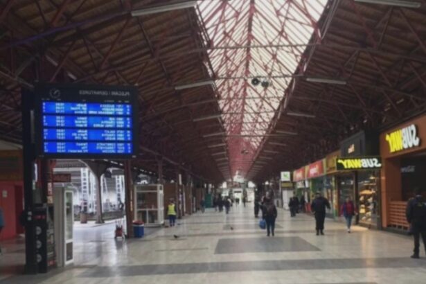 barbat de 55 de ani retinut dupa ce a agresat sexual o turista straina intr o gara din bucuresti fata este minora 68b9705de3099