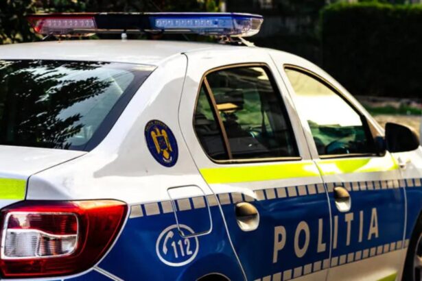 batran mort in urma unui conflict cu ginerele sau cei doi s au agresat reciproc 68bc98cfd8861