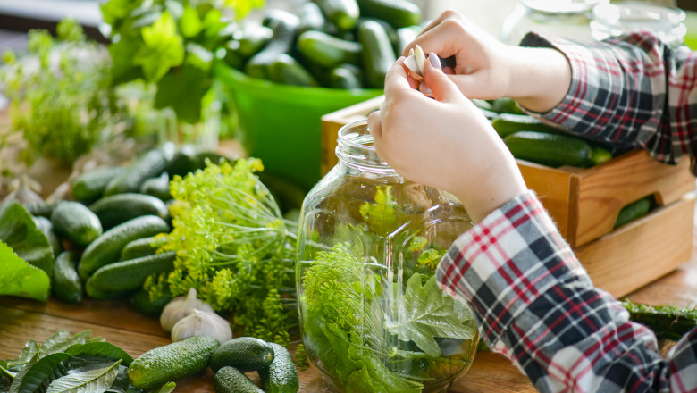 Secretele murăturilor perfecte: când să începi și ce condimente îți recomandă chef Adi Hădean pentru deliciile de iarnă 1 cand este cel mai bun moment sa pui muraturi ce condimente recomanda chef adi hadean pentru borcane care rezista toata iarna 68c790541a4fd