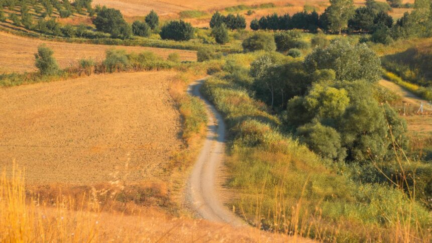 Echinocțiul de toamnă: date importante și influențe astrale asupra zodiilor 1 cand va avea loc echinoctiul de toamna si ce se va intampla din punct de vedere astral odata cu acest eveniment zodiile afectate 68c9233902186