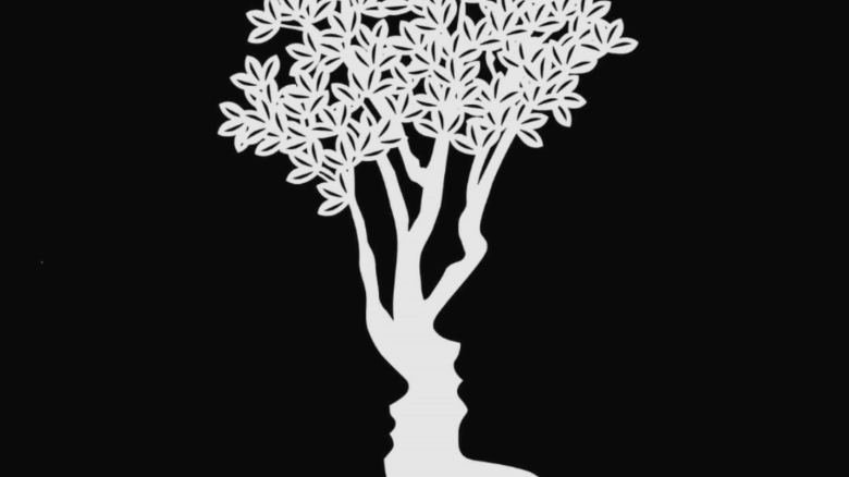 Ce relevă imaginea? Testul care dezvăluie stilul tău de interacțiune socială 1 ce vezi in imagine testul care arata felul tau de a interactiona cu cei din jur 68b6ccdeaf01d