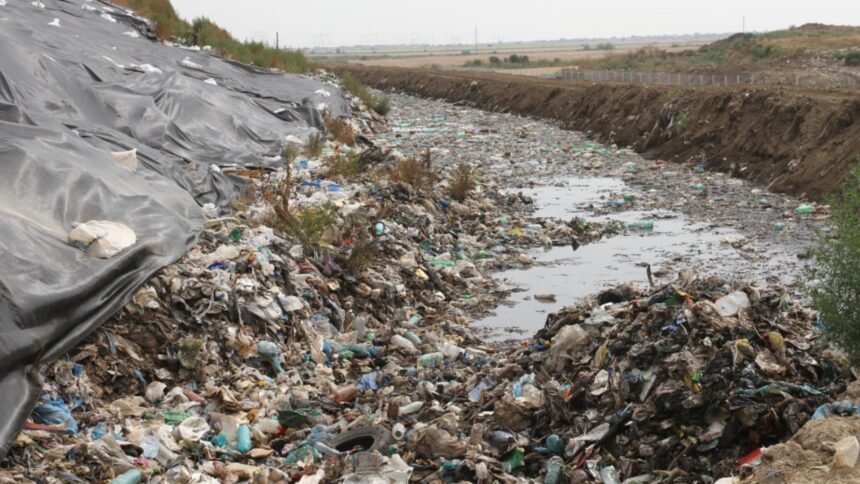 Reciclarea în București: doar 15% din deșeuri sunt gestionate, iar Garda de Mediu a dat amenzi de peste 400.000 de lei 1 cosmarul reciclarii in capitala doar 15 din deseuri sunt tratate garda de mediu a aplicat amenzi de peste 400 000 de lei 68c43af32cd94