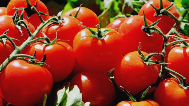 Secretele grădinarilor pentru roșii delicioase și coapte în septembrie: trucuri esențiale la începutul toamnei 1 cum sa ai rosii coapte si aromate in luna septembrie trucul secret pe care gradinarii il folosesc la fiecare inceput de toamna 68bb449ab210b