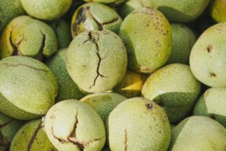 cum sa cureti petele de la nucile verzi de pe maini si de pe haine solutii la indemana oricui 68b6971241122