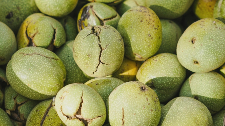 Trucuri ingenioase pentru îndepărtarea petelor de nuci verzi de pe piele și îmbrăcăminte! Soluții accesibile pentru toți 1 cum sa cureti petele de la nucile verzi de pe maini si de pe haine solutii la indemana oricui 68b6971241122