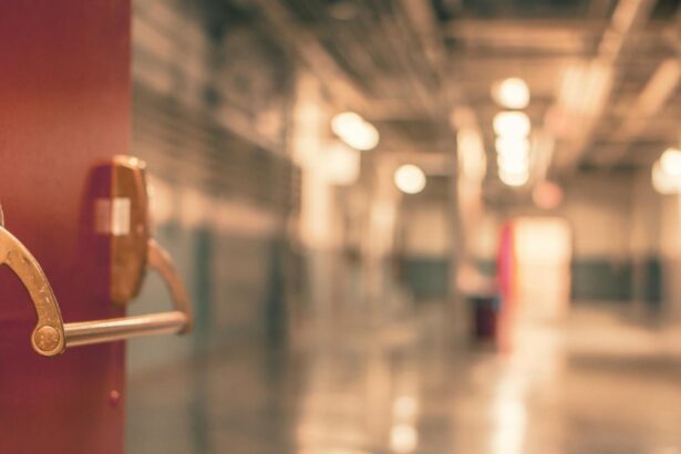 cum se manifesta bacteria marcescens si cum se transmite ce masuri au fost dispuse dupa ce sase copii au murit la iasi 68d6c389a8351