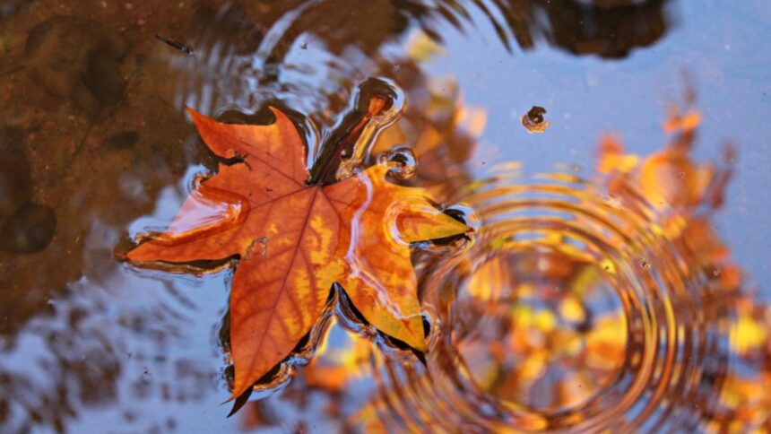 Previziuni meteorologice pentru septembrie: Cum ne va surprinde vremea în următoarele două săptămâni 1 cum va fi vremea in septembrie prognoza meteo pe doua saptamani 68bebacdca7e1