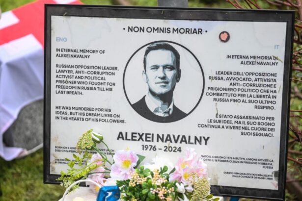 de ce laboratoarele straine refuza sa faca publice datele despre moartea lui navalnii urmasul vestitutlui dizident vine cu lamuriri 68cd10a058caa