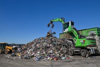 eco sud sa si a pus la dispozitie infrastructura de la cmid vidra si din tara in calitate de partener principal al lets do it romania ziua de curatenie nationala 2025 68d270a46173c