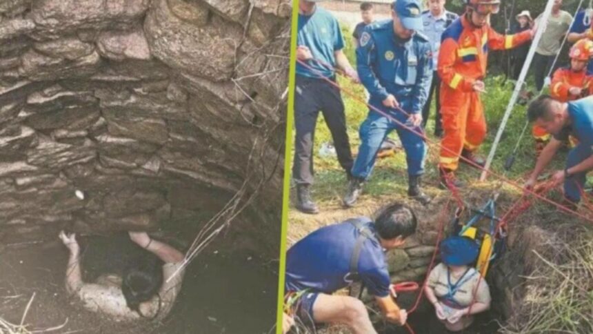 Aventura incredibilă a unei femei de 48 de ani: a rezistat 54 de ore într-o fântână plină de șerpi, sprijinindu-se de pereți 1 experienta uimitoare a unei femei de 48 de ani a supravietuit 54 de ore intr o fantana plina de serpi agatata de pereti 68db959fb95d9