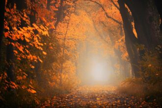 horoscopul saptamanii 29 septembrie 3 octombrie 2025 ce iti aduce inceputul lunii in functie de zodie 68da315615b3e