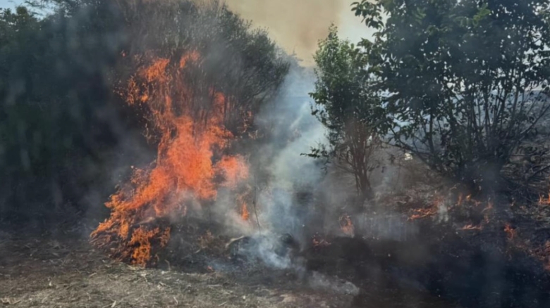 Flăcări devastatoare în Giurgiu: salvatorii se confruntă cu un incendiu de vegetație timp de opt ore 1 incendiu de vegetatie de proportii in giurgiu opt ore de lupta cu flacarile pentru salvatori 68b950557ed18