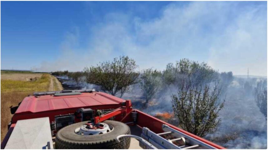 Flăcări devastatoare pe 50 de hectare în Teleorman: vegetația uscată în pericol, casele din apropiere sub amenințare 1 incendiu de vegetatie uscata pe 50 de hectare in teleorman flacarile extins la o livada si ameninta casele din zona 68d1554a91eca