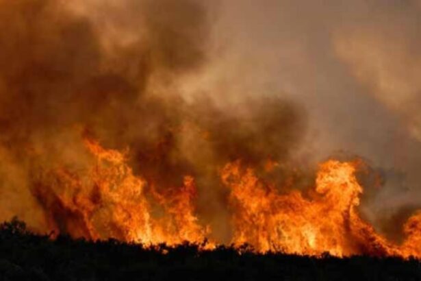 incendiu in prahova ard 80 de hectare de vegetatie langa ploiesti 68bc64b704f7c