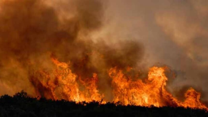 Flăcări devastatoare în Prahova: 80 de hectare de vegetație mistuite lângă Ploiești 1 incendiu in prahova ard 80 de hectare de vegetatie langa ploiesti 68bc64b704f7c