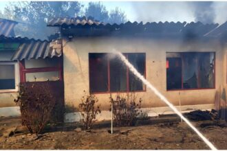 incendiu masiv de vegetatie in giurgiu flacarile s au extins la 11 gospodarii trei case au fost grav afectate 68bb30b378bd8