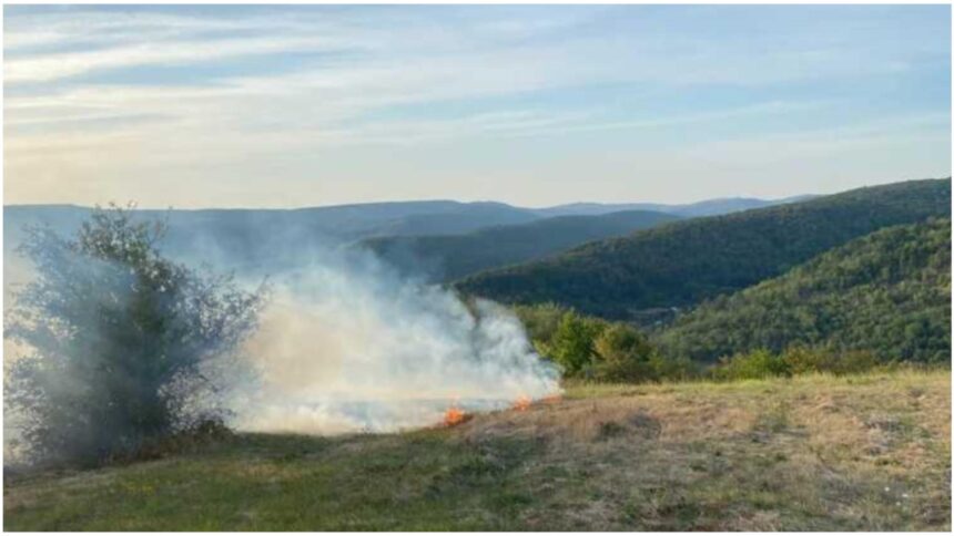 Flăcări devastatoare în județul Vaslui: peste 40 de hectare de pădure și pășune în calea incendiului 1 incendiu masiv de vegetatie in judetul vaslui peste 40 de hectare de liziera si pasune au fost mistuite de flacari 68bd467c3e989