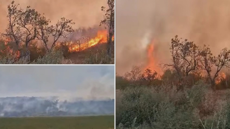 Flăcările devorează peste 15 hectare de vegetație în Buzău 1 incendiu puternic de vegetatie uscata in buzau peste 15 hectare de teren au fost mistuite de flacari 68b9e19e2ef0b