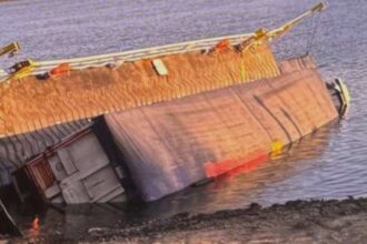 incident naval la braila un bac incarcat cu floarea soarelui s a scufundat in dunare 68b89d2bd06d6