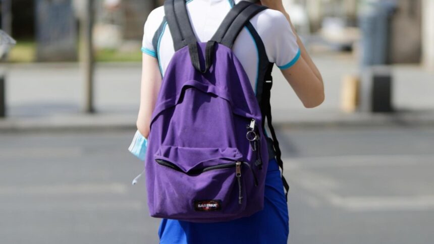 Bărbat de 57 de ani, arestat pentru agresiune sexuală asupra unei fete de 10 ani, pe un teren de fotbal 1 individ de 57 de ani retinut dupa ce ar fi agresat sexual o minora de 10 ani incidentul a avut loc pe un teren de fotbal 68cd3189d97f4