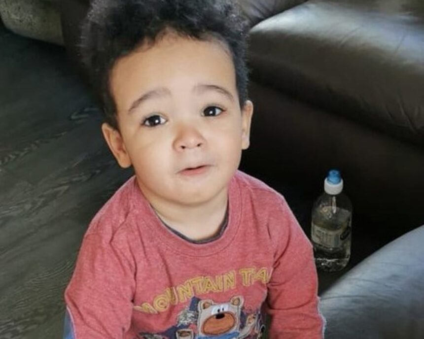 Autoritățile irlandeze descoperă rămășițe ale unui copil în căutarea unui băiat dispărut de patru ani 1 irish police find child remains in hunt for boy not marked as missing for four years 68cb029c89334