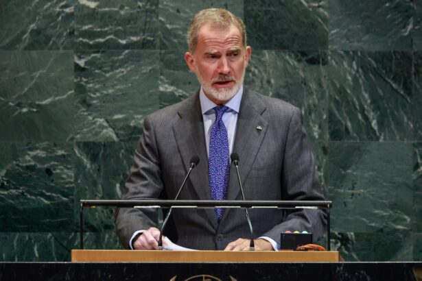 king felipe pleads with israel to stop massacre and abhorrent acts in gaza 68d42bc5a9955