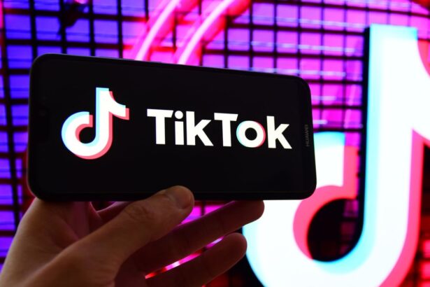 lawmaker calls for french criminal investigation into tiktok 68c2faea81d5f