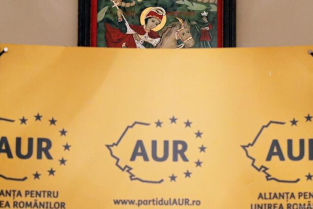 lider aur atac dur la adresa guvernului bolojan calca in picioare democratia si transforma parlamentul intr o simpla anexa 68b5ebb9e51ea