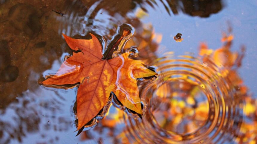 Prognoza meteo pentru 21 septembrie 2025: Ce ne rezervă vremea în întreaga țară astăzi? 1 meteo 21 septembrie 2025 cum va fi vremea azi in tara 68cf7938839b6