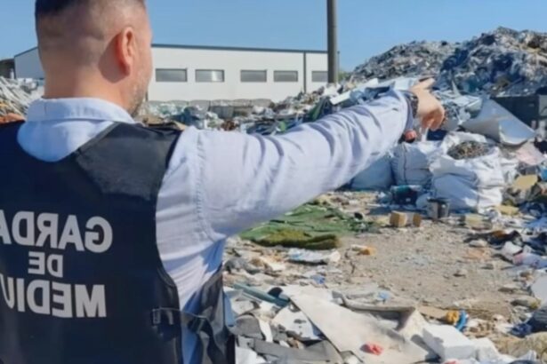 ministra rezist a mediului vrea ordonanta ca imaginile de la garda de mediu sa devina proba in instanta 68b7379d44e6e