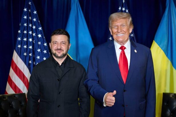 moscow brushes off trump claim that ukraine can win back territory from weak paper tiger 68d3ea78ce385